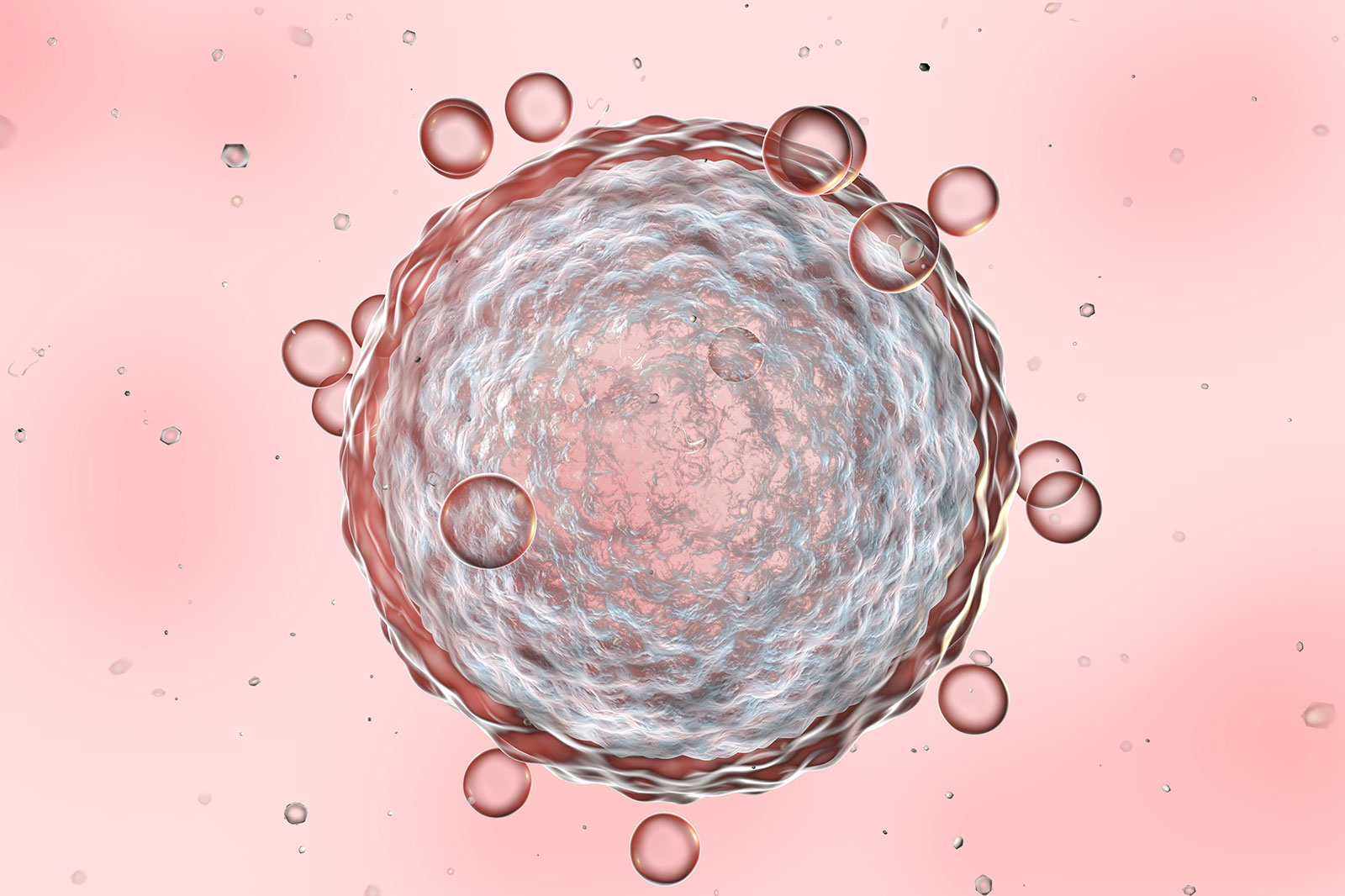 Informationen IVF In Vitro Fertilisation